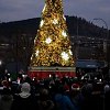 'Amazingly large cost': Kelowna to spend $300K on 2 new Christmas trees