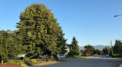 Pleasant week of consistent weather ahead for Kelowna area